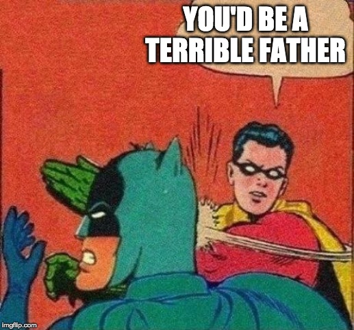 Robin Slaps Batman | YOU'D BE A TERRIBLE FATHER | image tagged in robin slaps batman | made w/ Imgflip meme maker