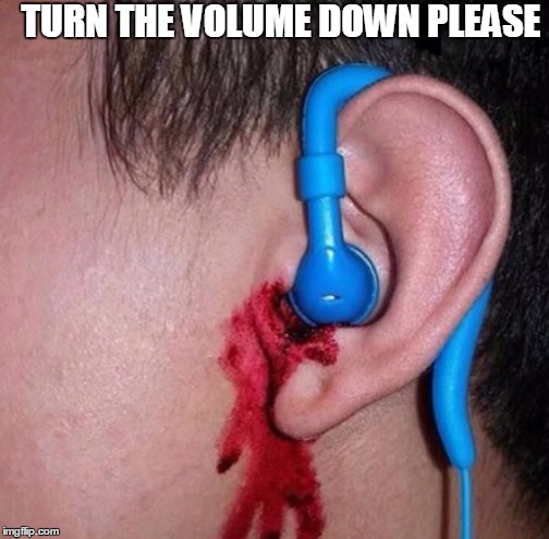 Ear bleed | TURN THE VOLUME DOWN PLEASE | image tagged in ear bleed | made w/ Imgflip meme maker