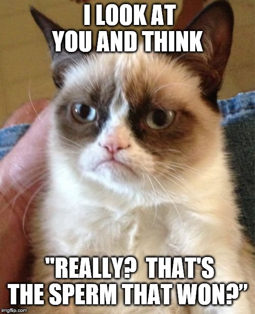 Grumpy Cat Meme | I LOOK AT YOU AND THINK; "REALLY?  THAT'S THE SPERM THAT WON?” | image tagged in memes,grumpy cat | made w/ Imgflip meme maker