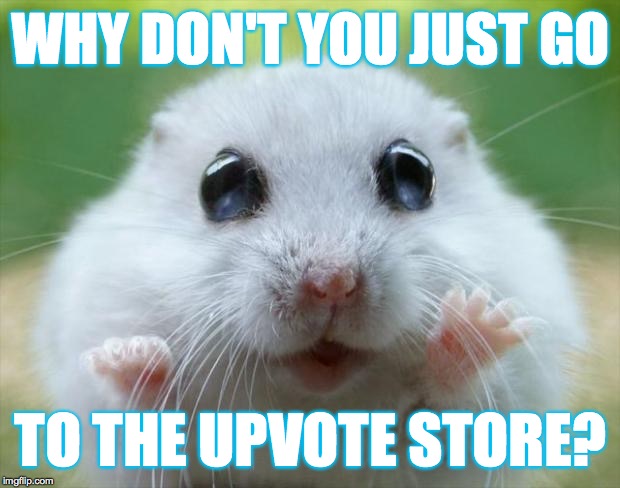 Hamster cute | WHY DON'T YOU JUST GO TO THE UPVOTE STORE? | image tagged in hamster cute | made w/ Imgflip meme maker