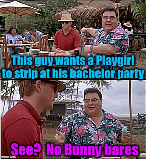 See Nobody Cares Meme | This guy wants a Playgirl to strip at his bachelor party; See?  No Bunny bares | image tagged in memes,see nobody cares | made w/ Imgflip meme maker