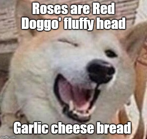 Doggo | Roses are Red
Doggo' fluffy head; Garlic cheese bread | image tagged in doggo | made w/ Imgflip meme maker