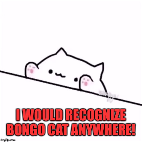 bongo cat | I WOULD RECOGNIZE BONGO CAT ANYWHERE! | image tagged in bongo cat | made w/ Imgflip meme maker