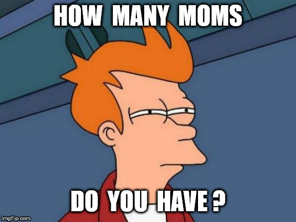 Futurama Fry Meme | HOW  MANY  MOMS DO  YOU  HAVE ? | image tagged in memes,futurama fry | made w/ Imgflip meme maker