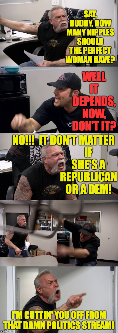 American Chopper Argument | SAY, BUDDY, HOW MANY NIPPLES SHOULD THE PERFECT WOMAN HAVE? WELL IT DEPENDS, NOW, DON'T IT? IF SHE'S A REPUBLICAN OR A DEM! NO!!!  IT DON'T MATTER; I'M CUTTIN' YOU OFF FROM THAT DAMN POLITICS STREAM! | image tagged in memes,american chopper argument,good vs evil,politics lol | made w/ Imgflip meme maker