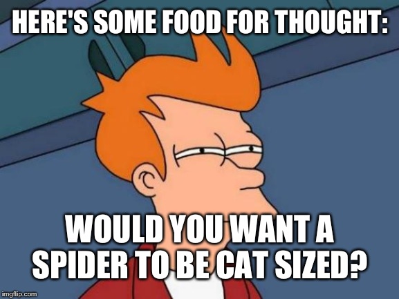 Futurama Fry | HERE'S SOME FOOD FOR THOUGHT:; WOULD YOU WANT A SPIDER TO BE CAT SIZED? | image tagged in memes,futurama fry | made w/ Imgflip meme maker