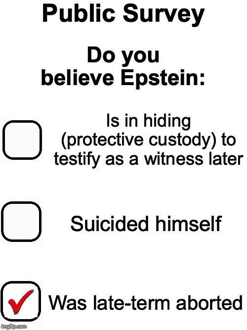 Epstein Suicide Survey |  Public Survey; Do you believe Epstein:; Is in hiding (protective custody) to testify as a witness later; Suicided himself; Was late-term aborted | image tagged in epstein suicide survey | made w/ Imgflip meme maker