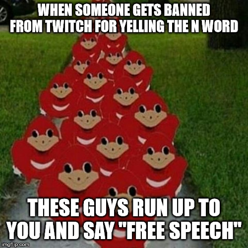 Ugandan knuckles army | WHEN SOMEONE GETS BANNED FROM TWITCH FOR YELLING THE N WORD; THESE GUYS RUN UP TO YOU AND SAY "FREE SPEECH" | image tagged in ugandan knuckles army | made w/ Imgflip meme maker