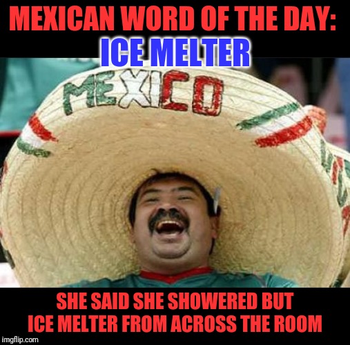 mexican word of the day | MEXICAN WORD OF THE DAY: SHE SAID SHE SHOWERED BUT ICE MELTER FROM ACROSS THE ROOM ICE MELTER | image tagged in mexican word of the day | made w/ Imgflip meme maker