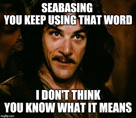 You keep using that word | SEABASING 
YOU KEEP USING THAT WORD; I DON'T THINK YOU KNOW WHAT IT MEANS | image tagged in you keep using that word | made w/ Imgflip meme maker