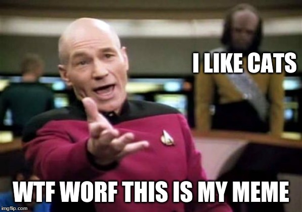 Picard Wtf | I LIKE CATS; WTF WORF THIS IS MY MEME | image tagged in memes,picard wtf,cats | made w/ Imgflip meme maker