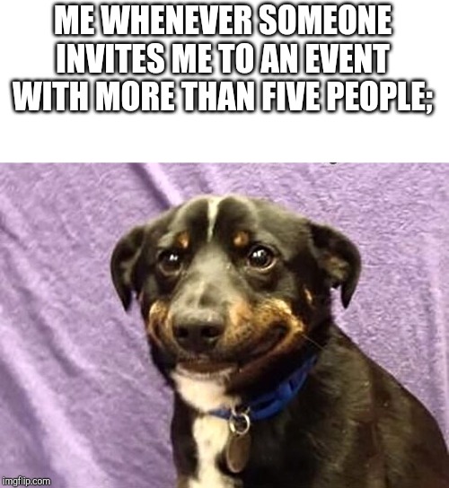 Cringe laugh puppy | ME WHENEVER SOMEONE INVITES ME TO AN EVENT WITH MORE THAN FIVE PEOPLE; | image tagged in cringe laugh puppy | made w/ Imgflip meme maker