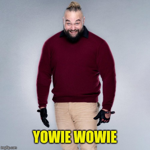 YOWIE WOWIE | made w/ Imgflip meme maker