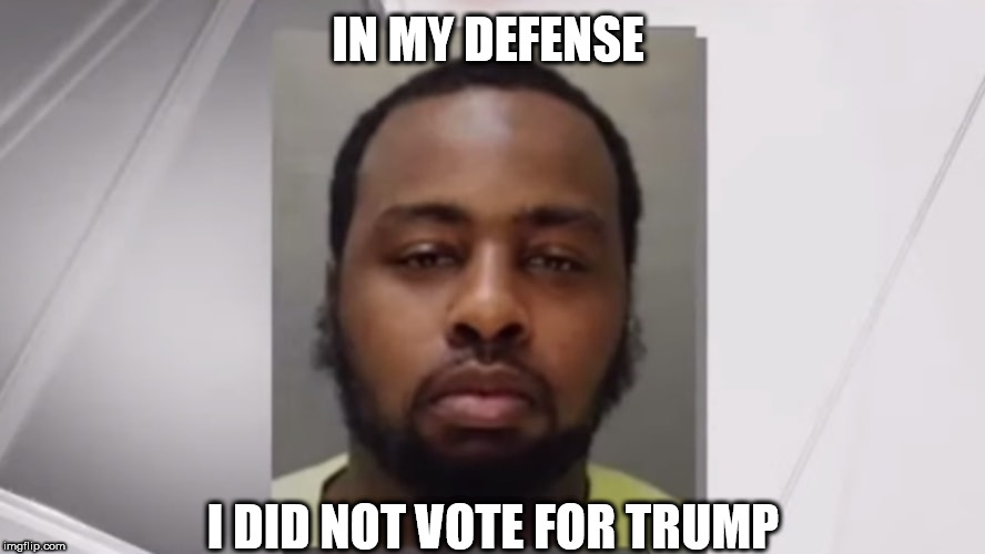 Philly Dilly | IN MY DEFENSE; I DID NOT VOTE FOR TRUMP | image tagged in philly dilly | made w/ Imgflip meme maker