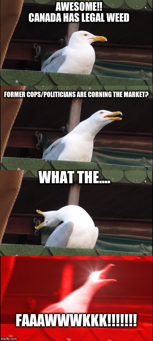 Canadian Marijuana Laws | AWESOME!! CANADA HAS LEGAL WEED; FORMER COPS/POLITICIANS ARE CORNING THE MARKET? WHAT THE.... FAAAWWWKKK!!!!!!! | image tagged in memes,inhaling seagull,canada,marijuana,medical marijuana | made w/ Imgflip meme maker