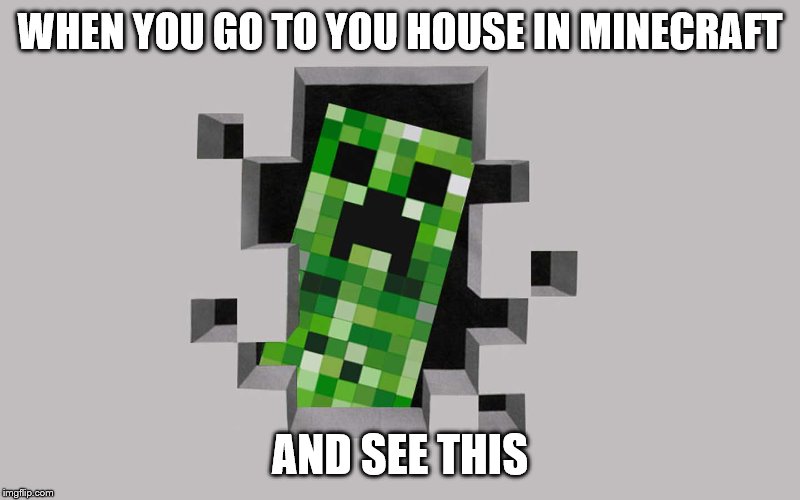 WHEN YOU GO TO YOU HOUSE IN MINECRAFT; AND SEE THIS | image tagged in minecraft | made w/ Imgflip meme maker