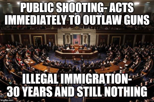 congress | PUBLIC SHOOTING- ACTS IMMEDIATELY TO OUTLAW GUNS; ILLEGAL IMMIGRATION- 30 YEARS AND STILL NOTHING | image tagged in congress | made w/ Imgflip meme maker