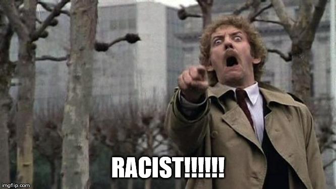 invasion of the body snatchers | RACIST!!!!!! | image tagged in invasion of the body snatchers | made w/ Imgflip meme maker