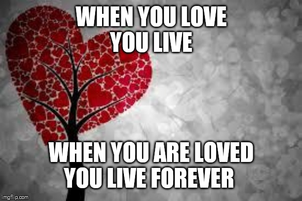 Tree heart |  WHEN YOU LOVE
YOU LIVE; WHEN YOU ARE LOVED
YOU LIVE FOREVER | image tagged in tree heart | made w/ Imgflip meme maker