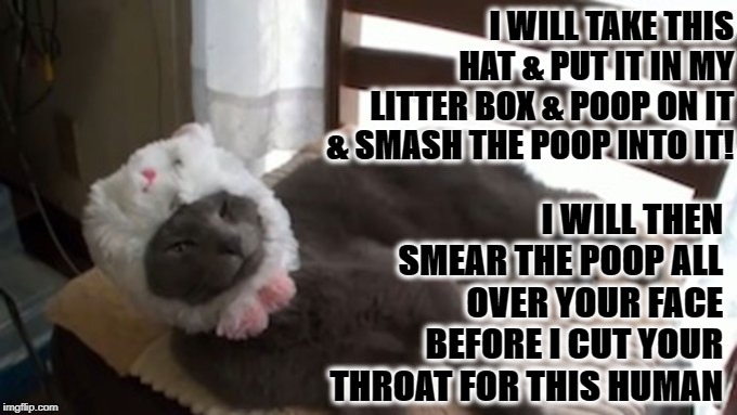 POOP SMEAR | I WILL TAKE THIS HAT & PUT IT IN MY LITTER BOX & POOP ON IT & SMASH THE POOP INTO IT! I WILL THEN SMEAR THE POOP ALL OVER YOUR FACE BEFORE I CUT YOUR THROAT FOR THIS HUMAN | image tagged in poop smear | made w/ Imgflip meme maker