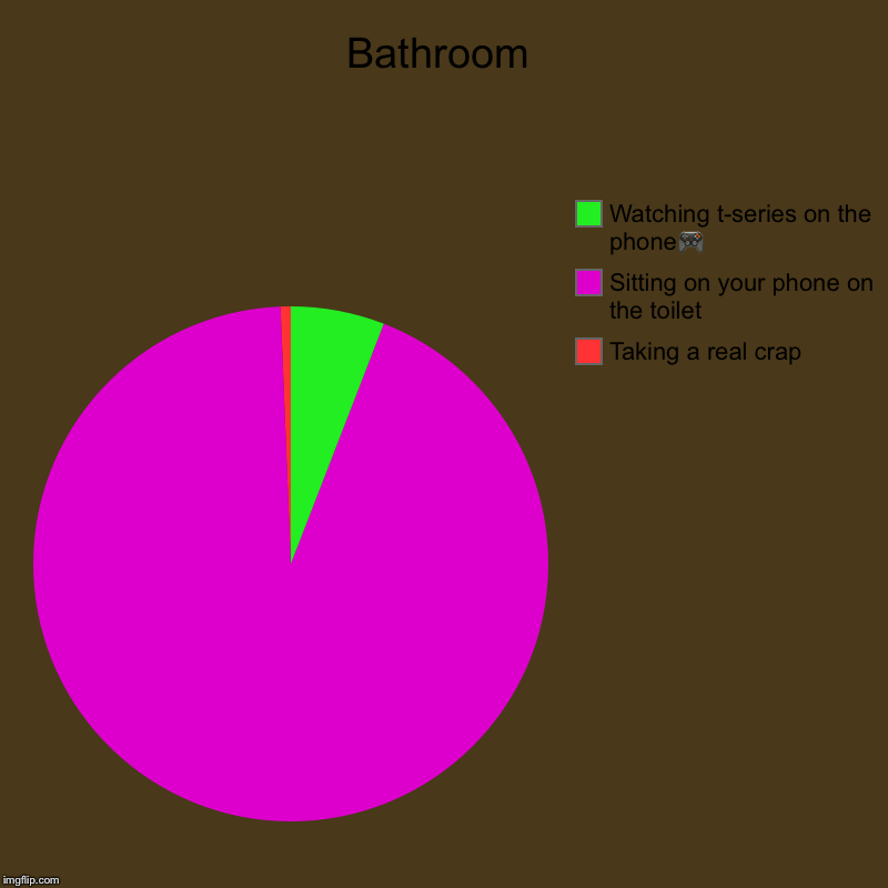 Bathroom | Taking a real crap, Sitting on your phone on the toilet , Watching t-series on the phone? | image tagged in charts,pie charts | made w/ Imgflip chart maker
