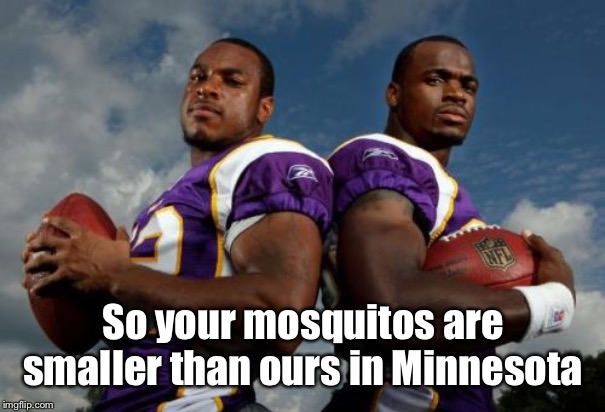 Viking Dudes | So your mosquitos are smaller than ours in Minnesota | image tagged in memes,viking dudes | made w/ Imgflip meme maker