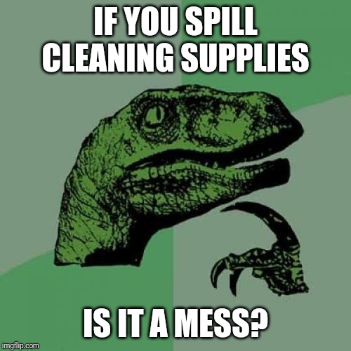 Cleaning Supplies | IF YOU SPILL CLEANING SUPPLIES; IS IT A MESS? | image tagged in memes,philosoraptor | made w/ Imgflip meme maker