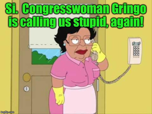 Consuela Meme | Si.  Congresswoman Gringo is calling us stupid, again! | image tagged in memes,consuela | made w/ Imgflip meme maker