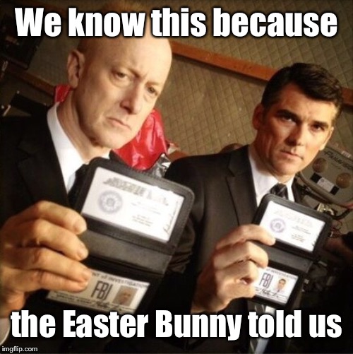 FBI | We know this because the Easter Bunny told us | image tagged in fbi | made w/ Imgflip meme maker