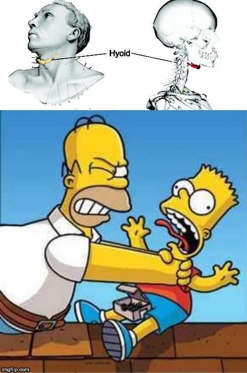 image tagged in bart simpson choked by homer,hyoid | made w/ Imgflip meme maker