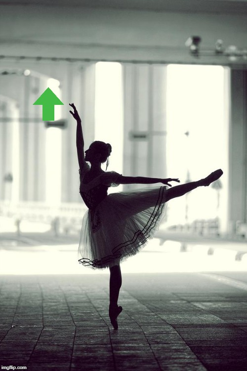 ballerina | image tagged in ballerina | made w/ Imgflip meme maker