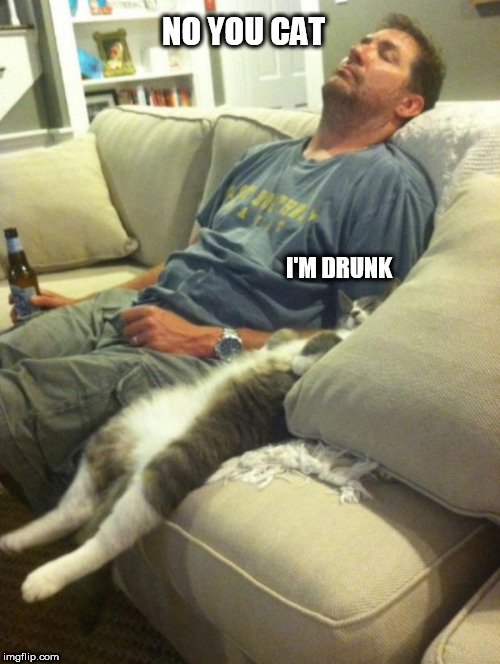 drunk cat | NO YOU CAT; I'M DRUNK | image tagged in drunk cat | made w/ Imgflip meme maker