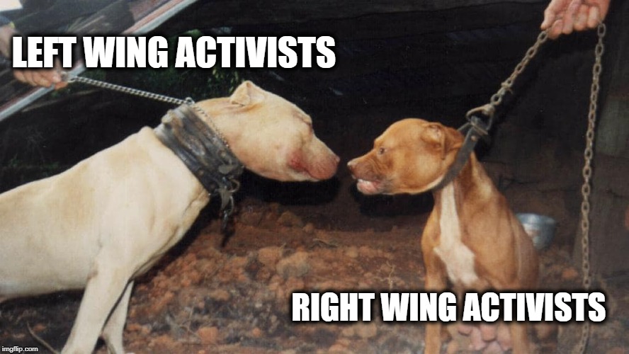 Post-Modern Politics | LEFT WING ACTIVISTS; RIGHT WING ACTIVISTS | image tagged in post-modern politics | made w/ Imgflip meme maker