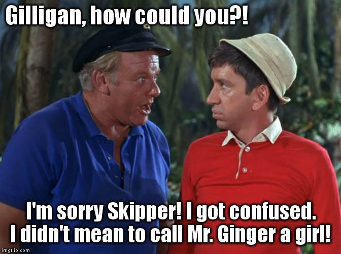 Gilligan screws up again! | Gilligan, how could you?! I'm sorry Skipper! I got confused. I didn't mean to call Mr. Ginger a girl! | image tagged in gilligans island,gender snafu | made w/ Imgflip meme maker