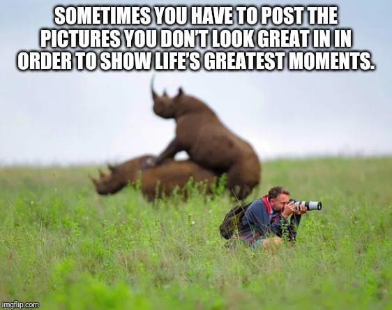 Rhinoceros and photographer | SOMETIMES YOU HAVE TO POST THE PICTURES YOU DON’T LOOK GREAT IN IN ORDER TO SHOW LIFE’S GREATEST MOMENTS. | image tagged in rhinoceros and photographer | made w/ Imgflip meme maker