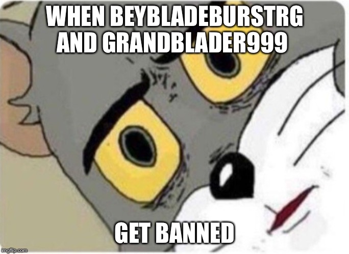 WHEN BEYBLADEBURSTRG AND GRANDBLADER999; GET BANNED | made w/ Imgflip meme maker