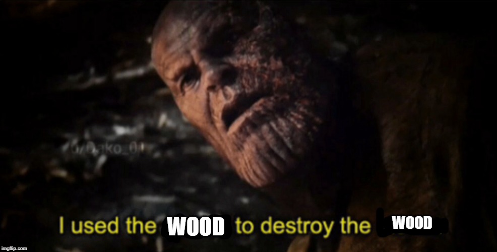 I used the stones to destroy the stones | WOOD WOOD | image tagged in i used the stones to destroy the stones | made w/ Imgflip meme maker