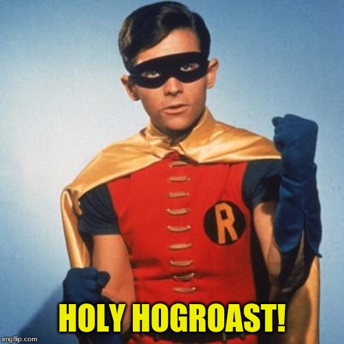 Robin | HOLY HOGROAST! | image tagged in robin | made w/ Imgflip meme maker