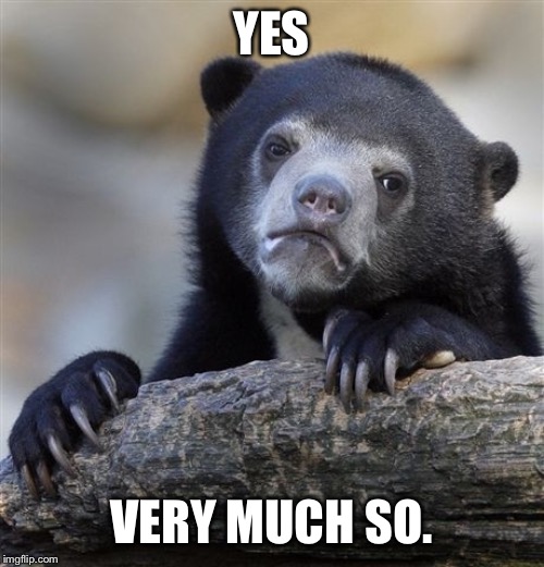 Confession Bear Meme | YES VERY MUCH SO. | image tagged in memes,confession bear | made w/ Imgflip meme maker