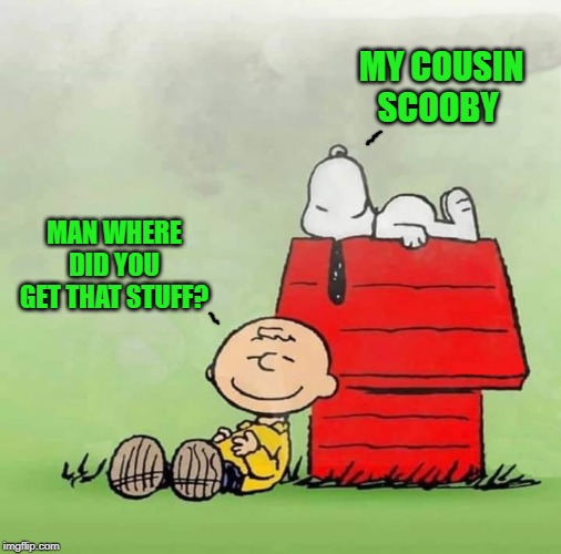 stoned peanuts | MY COUSIN SCOOBY; MAN WHERE DID YOU GET THAT STUFF? | image tagged in charlie brown,snoopy,stoned | made w/ Imgflip meme maker