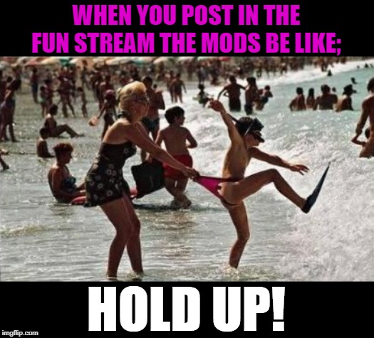 Flippers be like; | WHEN YOU POST IN THE FUN STREAM THE MODS BE LIKE;; HOLD UP! | image tagged in imgflip mods,mods,lol,fun,why you no,hold up | made w/ Imgflip meme maker