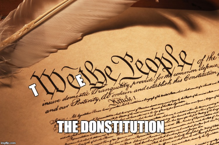 Tweet the People | E; T; THE DONSTITUTION | image tagged in constitution,twitter | made w/ Imgflip meme maker