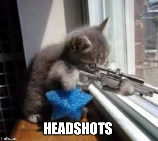 Sniper Cat | HEADSHOTS | image tagged in sniper cat | made w/ Imgflip meme maker