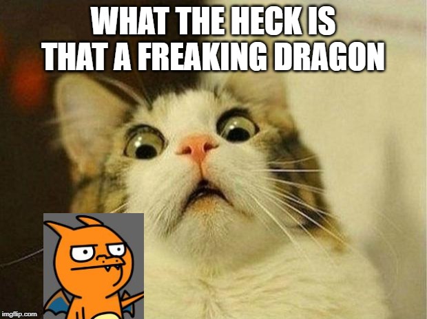 Scared Cat | WHAT THE HECK IS THAT A FREAKING DRAGON | image tagged in memes,scared cat | made w/ Imgflip meme maker