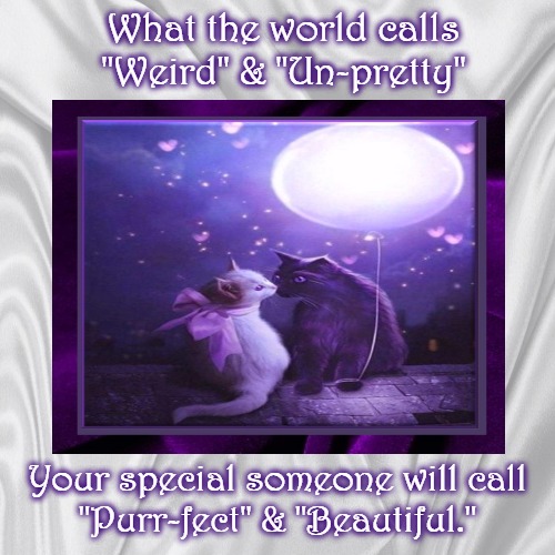 Your Special Someone | image tagged in demotivationals,cats,romance,purple,moonlight,love | made w/ Imgflip demotivational maker
