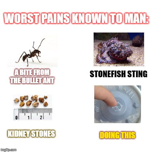 Last One Though | WORST PAINS KNOWN TO MAN:; A BITE FROM THE BULLET ANT; STONEFISH STING; KIDNEY STONES; DOING THIS | image tagged in memes,blank transparent square,pain,so true | made w/ Imgflip meme maker
