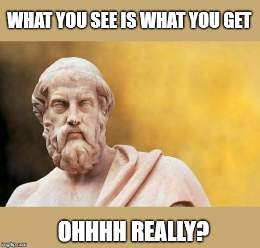 PLATO | WHAT YOU SEE IS WHAT YOU GET; OHHHH REALLY? | image tagged in plato | made w/ Imgflip meme maker