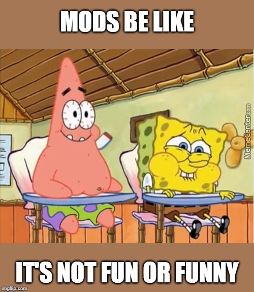 MODS BE LIKE IT'S NOT FUN OR FUNNY | made w/ Imgflip meme maker