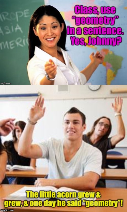 Careful what you ask for. | image tagged in unhelpful high school teacher,johnny,geometry,sentence,tree,acorn | made w/ Imgflip meme maker