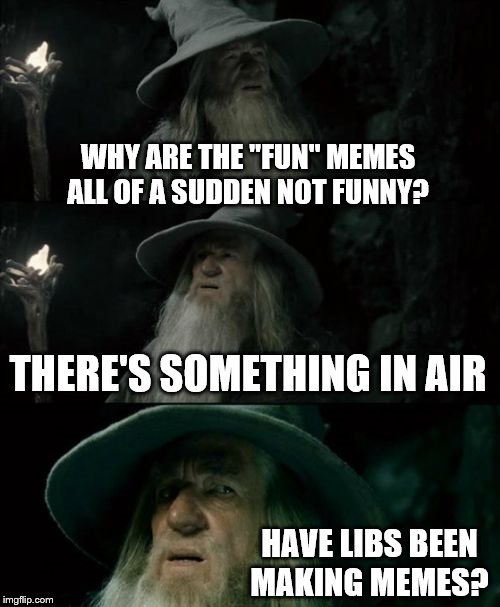 Confused Gandalf | WHY ARE THE "FUN" MEMES ALL OF A SUDDEN NOT FUNNY? THERE'S SOMETHING IN AIR; HAVE LIBS BEEN MAKING MEMES? | image tagged in memes,confused gandalf | made w/ Imgflip meme maker